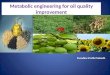 Metabolic engineering for oil quality improvement