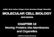 Molecular Cell Biology Lodish 6th.ppt - Chapter 13   moving proteins into membranes and organelles