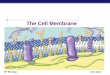 Chapter 7 (Cell Membranes)