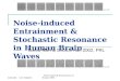 Noise-induced Entrainment in Human EEG