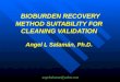 Bioburden Validation Strategy for Cleaning Validation
