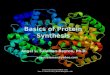 Presentation Protein Synthesis
