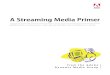 A Streaming Media Primer