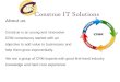 CITS Construe Solutions 2013