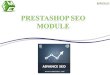 FMM’s SEO Extension