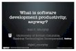 What is Software Development Productivity Anyway?