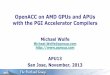 PL-4044, OpenACC on AMD APUs and GPUs with the PGI Accelerator Compilers, by Michael Wolfe
