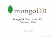 MongoDB for the SQL Server Professional