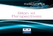 2011 plan france numerique2020 bilan-perspectives