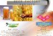 Beer factory project