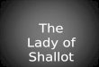 Lady of Shallot