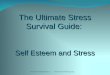 Workshop 5  self esteem and stress