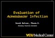 Evaluation Of Acinetobacter Infection, Eastern States Presentation