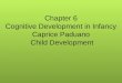 Child development, chapter 6, paduano