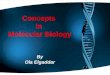 Concepts in molecular biology