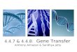 Gene Transfer