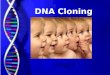 DNA Cloning Lesson