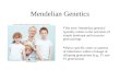 Mendelian Genetics The term Mendelian genetics' typically