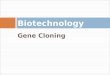 Biotechnology - Gene Cloning