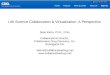Collaborative Drug Discovery -- Life Science Collaboration & Virtualization: A Perspective