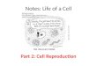 Cell reproduction part 2