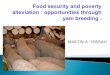 Food security and poverty alleviation: opportunities through yam breeding
