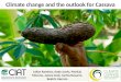 Andy J - Climate change and the outlook for cassava