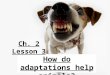 3rd Grade Ch. 2 Lesson 3 How do Adaptations help animals