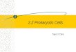 2.2 prokaryotic cells