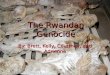 The rwandan genocide