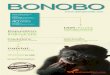 Bonobo Infographic