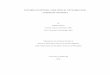 Thesis   towards an optimal core optical network using overflow channels
