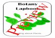 Botany Lapbook Preview