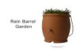 Rain Barrel Garden