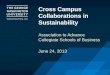 AACSB Cross Campus Collaborations