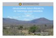 Developing Gold Projects in Tanzania and Namibia