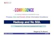Compegence: Nagaraj Kulkarni - Hadoop and No SQL_TDWI_2011Jul23_Preso