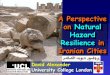 Natural Hazard Resilience in Iran