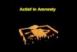 Actief in Amnesty. Amnesty Nijmegen is één van de grootste actieve groepen in Nederland. In deze stad zijn maar liefst 7 subgroepen die zich bezighouden