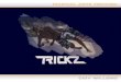 -Het ontstaan -Trickz vs Freerunning/ Parkour -Moves -Gatherings -Top Trickers -Waar staat Trickz nu -Twee korte filmpjes -Interesse?