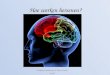 Hoe werken hersenen? Matthijs Hoekman & Koen Smelt vw43
