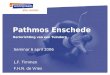 Pathmos Enschede Herinrichting van een Tuindorp Seminar 6 april 2006 L.F. Timmen F.H.N. de Vries