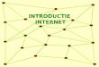 INTRODUCTIE INTERNET. Agenda  Internet Introductie  Techniek van het Internet  Mogelijkheden van het Internet  Zelf Surfen op het Internet