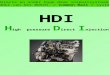 Het directe en onder hoge druk inspuitsysteem door middel van het BOSCH « Common Rail » systeem HDI H igh pressure D irect I njection