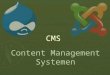 CMS Content Management Systemen. CMS: wat het is  Website vanuit database met:  Teksten, beelden  Gebruikers  Beheerders  Redacteurs/journalisten