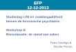 Studiedag LVB en zwakbegaafdheid binnen de forensische psychiatrie Workshop B Risicotaxatie: de stand van zaken Petra Geerligs & Nicolle Prevoo EFP 12-12-2013