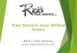 Tree Service near Willow Grove