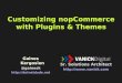 Customizing nopCommerce with Plugins and Themes