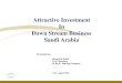 Attractive Investment in Down Stream Business Saudi Arabia