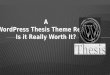 A WordPress Thesis Theme Review - Is it Really Worth It?